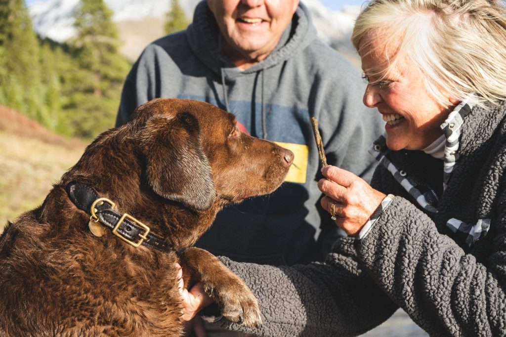 A woman interacting with an adult unsocialized dog