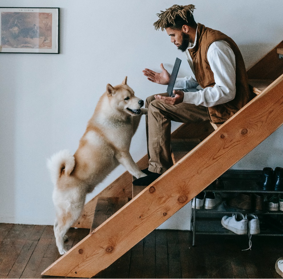 Common dog training mistakes