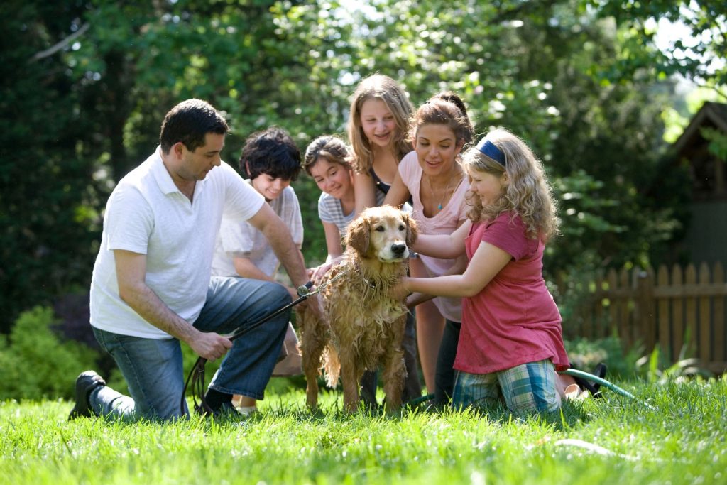 The best dog breed for kids and families