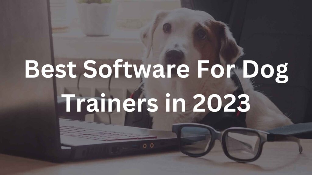 Best-Software-For-Dog-Trainers-in-2023